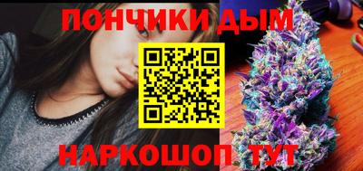 шишки Донской