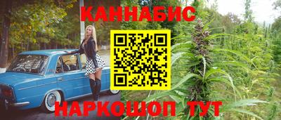шишки Донской
