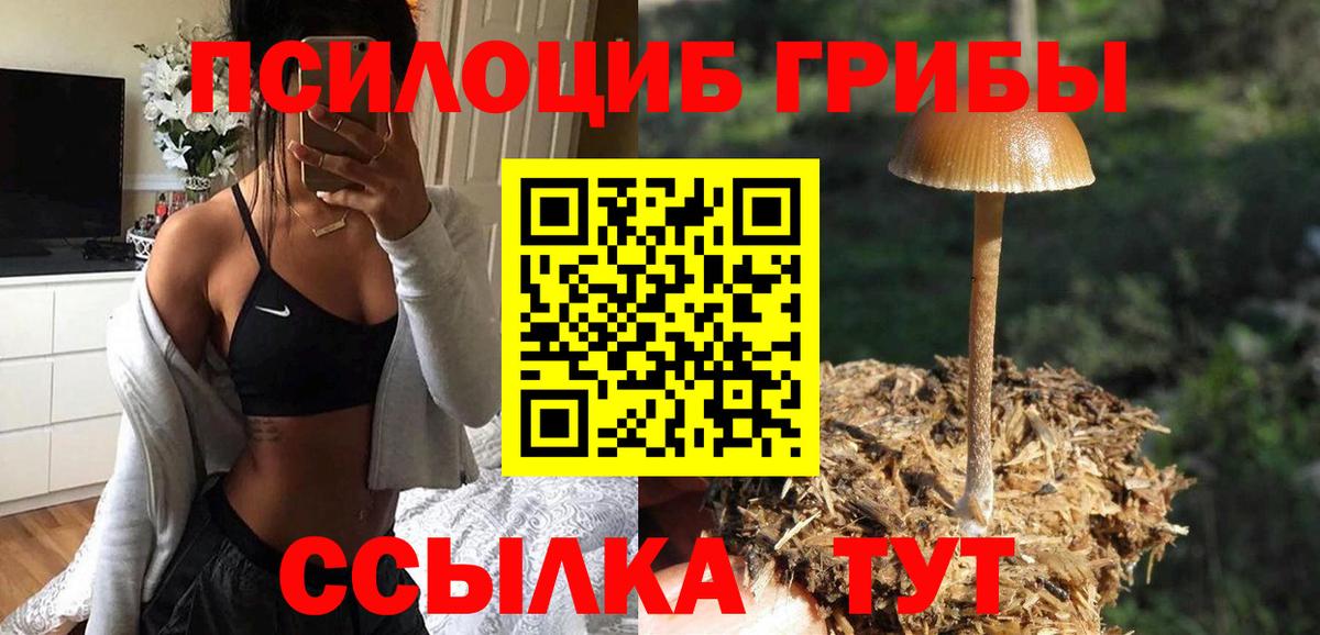 Галлюциногенные грибы ЛСД Лиски