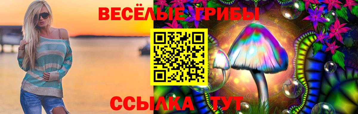 Лиски  сколько стоит  Вход с VPN  Псилоцибиновые грибы прущие грибы 